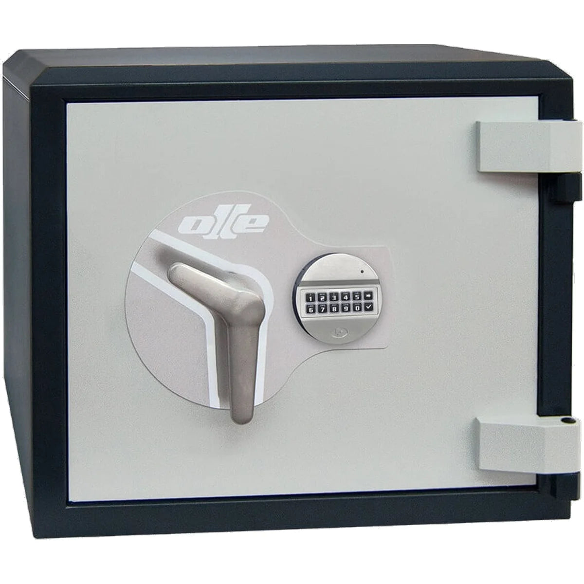Olle 1 Deposit Safe